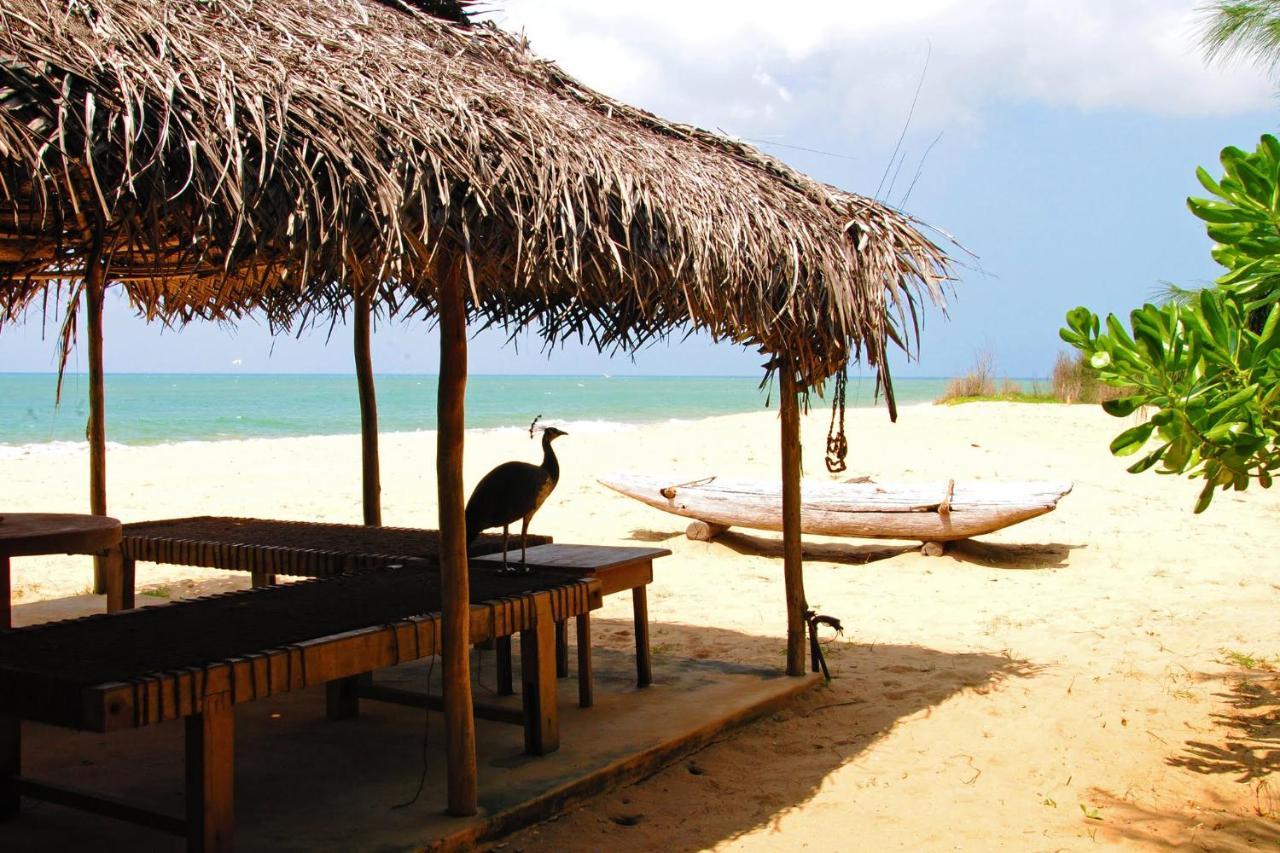 Alankuda Khomba Beach House מראה חיצוני תמונה